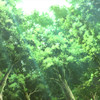 Dr. Stone S01-S03 + Movie 1080p WEB x264-MIXED thumbnail